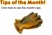 Tips of the Month: see this month's tips